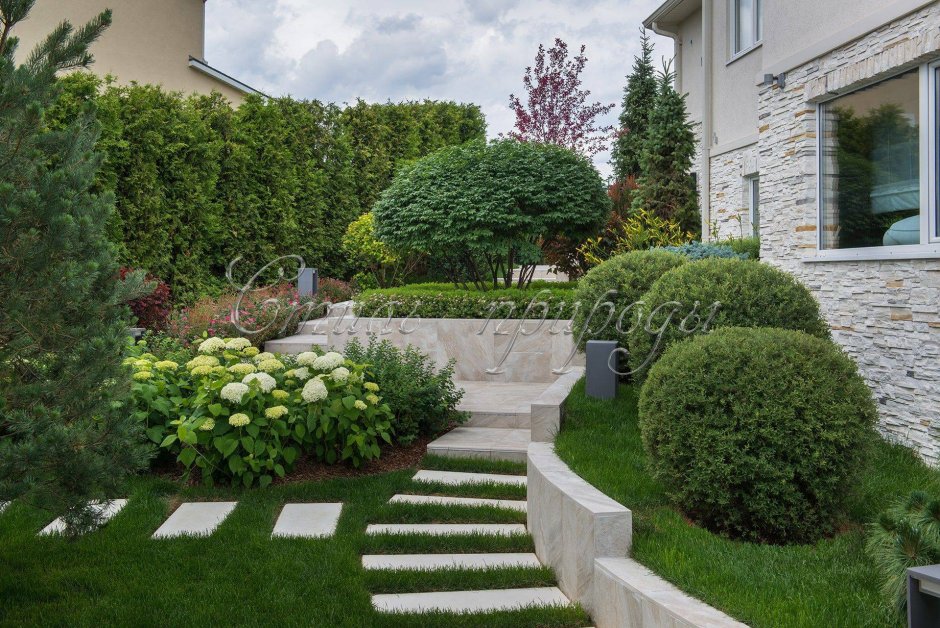 Ландшафтное бюро мох Фоменко