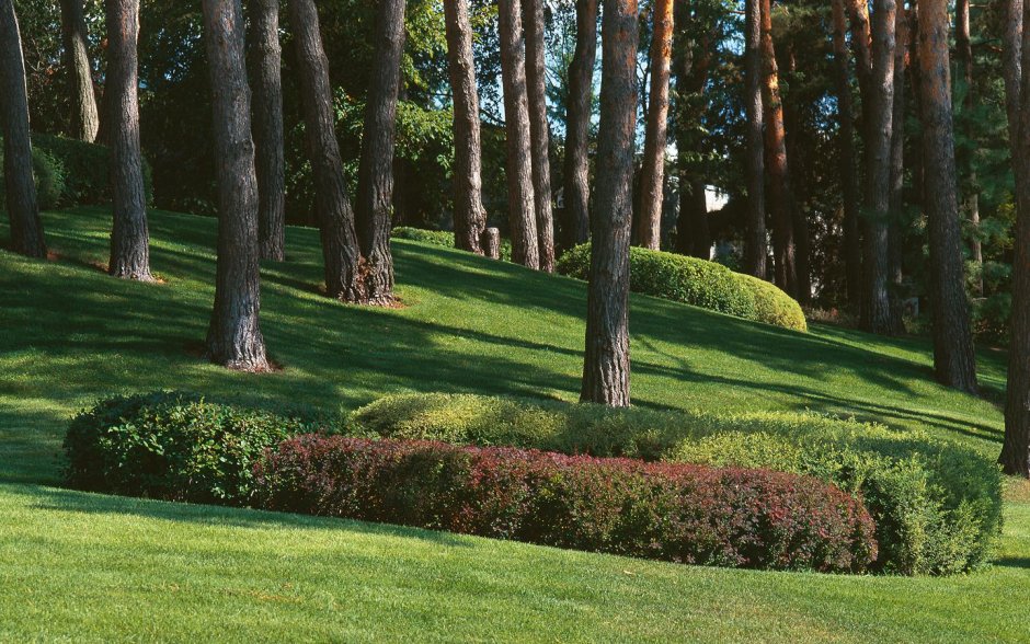 Мох ландшафтно-архитектурное бюро