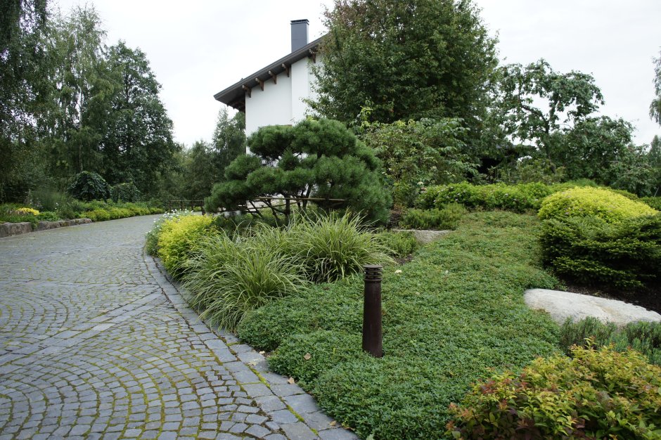 Мох ландшафтно-архитектурное бюро ирга Ламарка