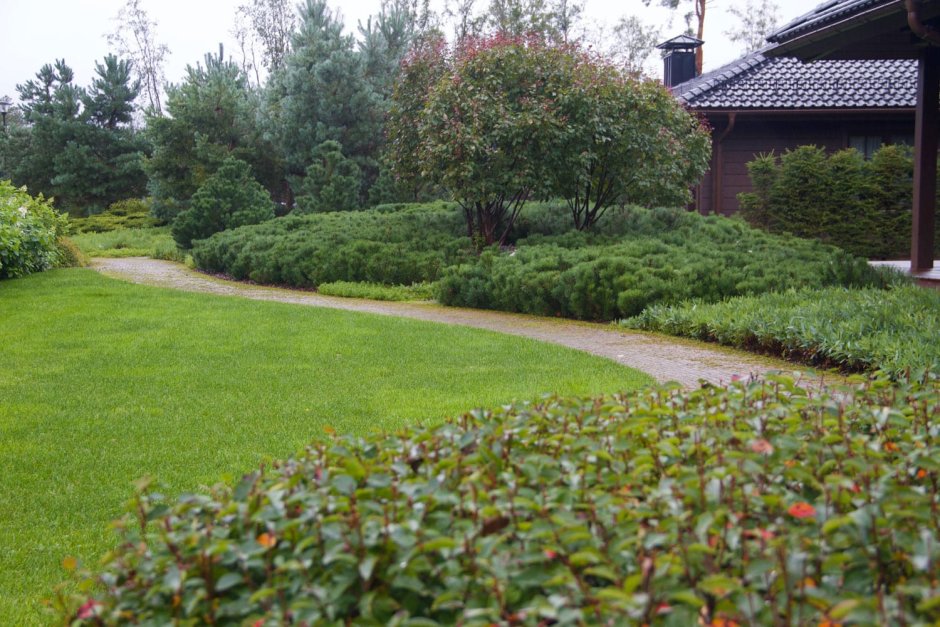 Травяной сад новая Голландия в Санкт-Петербурге