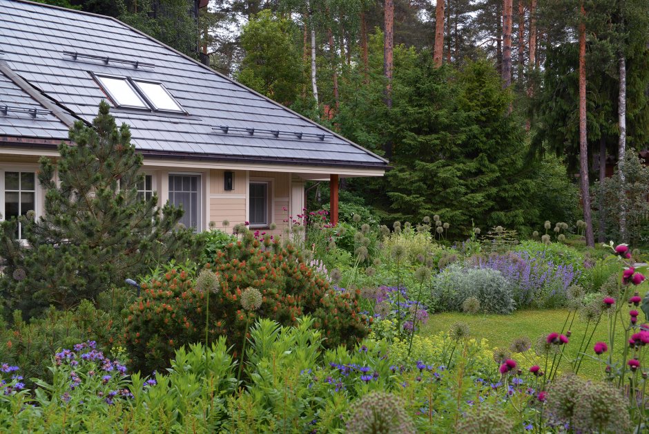 Мох ландшафтное бюро Зеленогорск