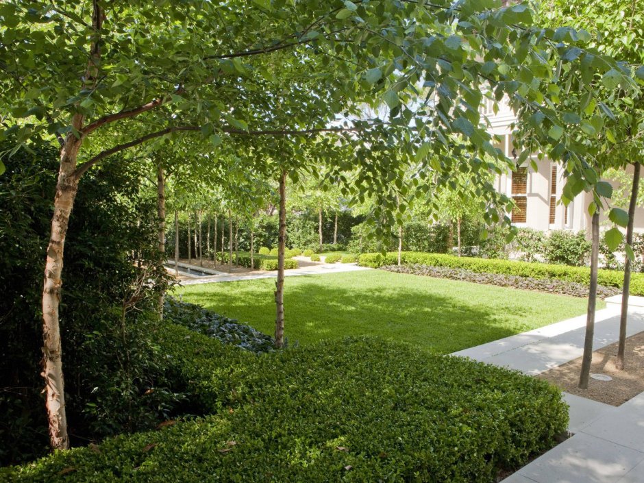 Петербург ландшафтник