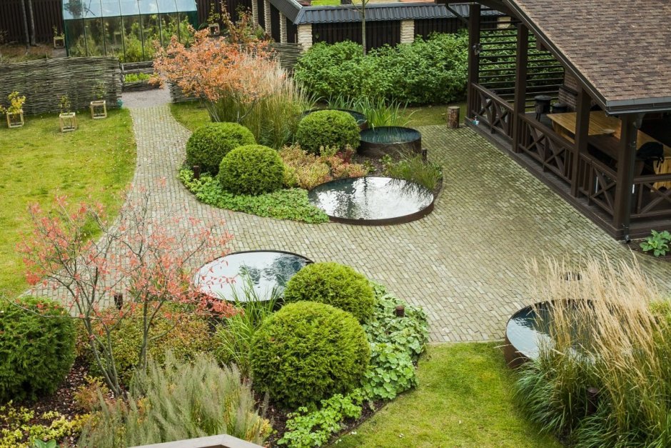 Мох в цветнике