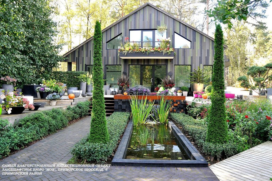 Ирга Ламарка в ландшафтном