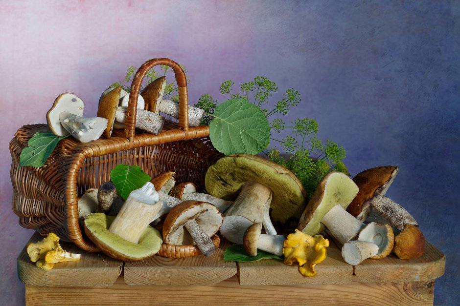 Натюрморт с грибами