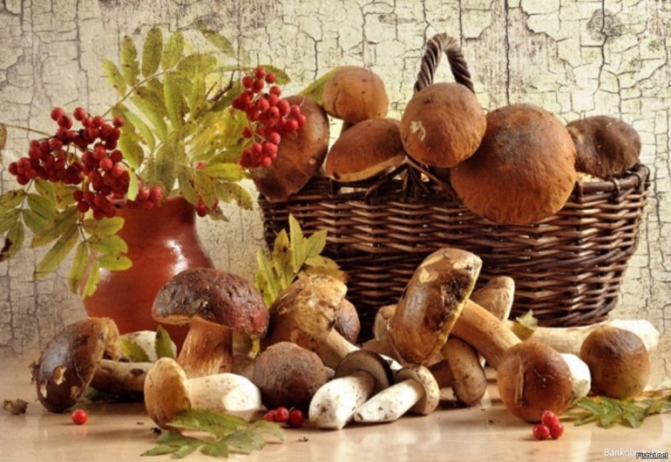 Корзинка с грибами осень