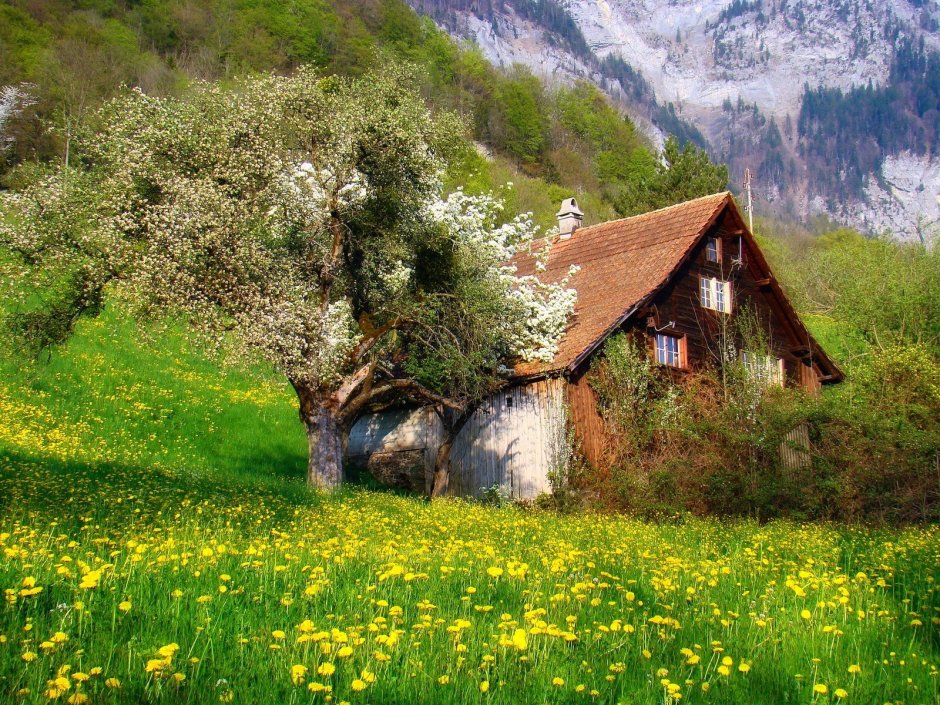 Швейцария Альпы деревня Весна