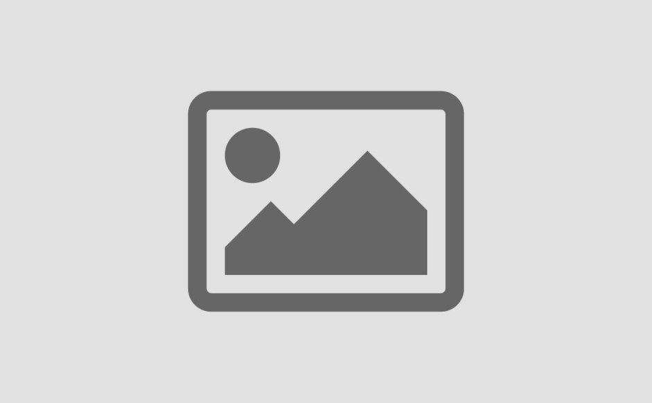 Бегония вечноцветущая белая