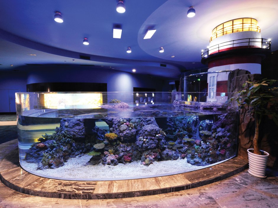 Аквариум в интерьере