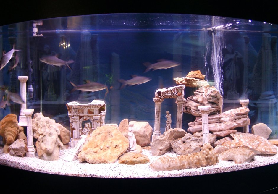 Аквариум Марвелоус Аква