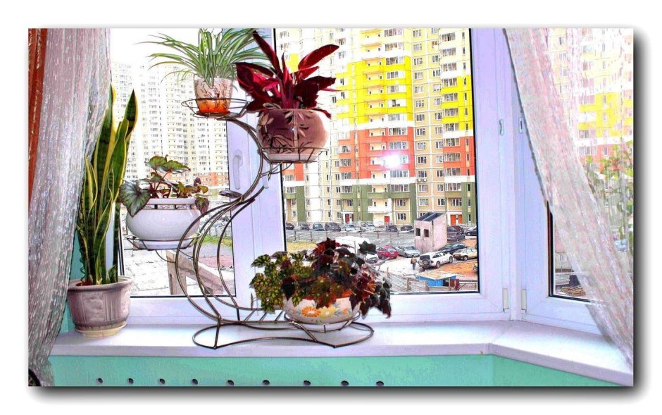 Красивые подставки для комнатных цветов для подоконника