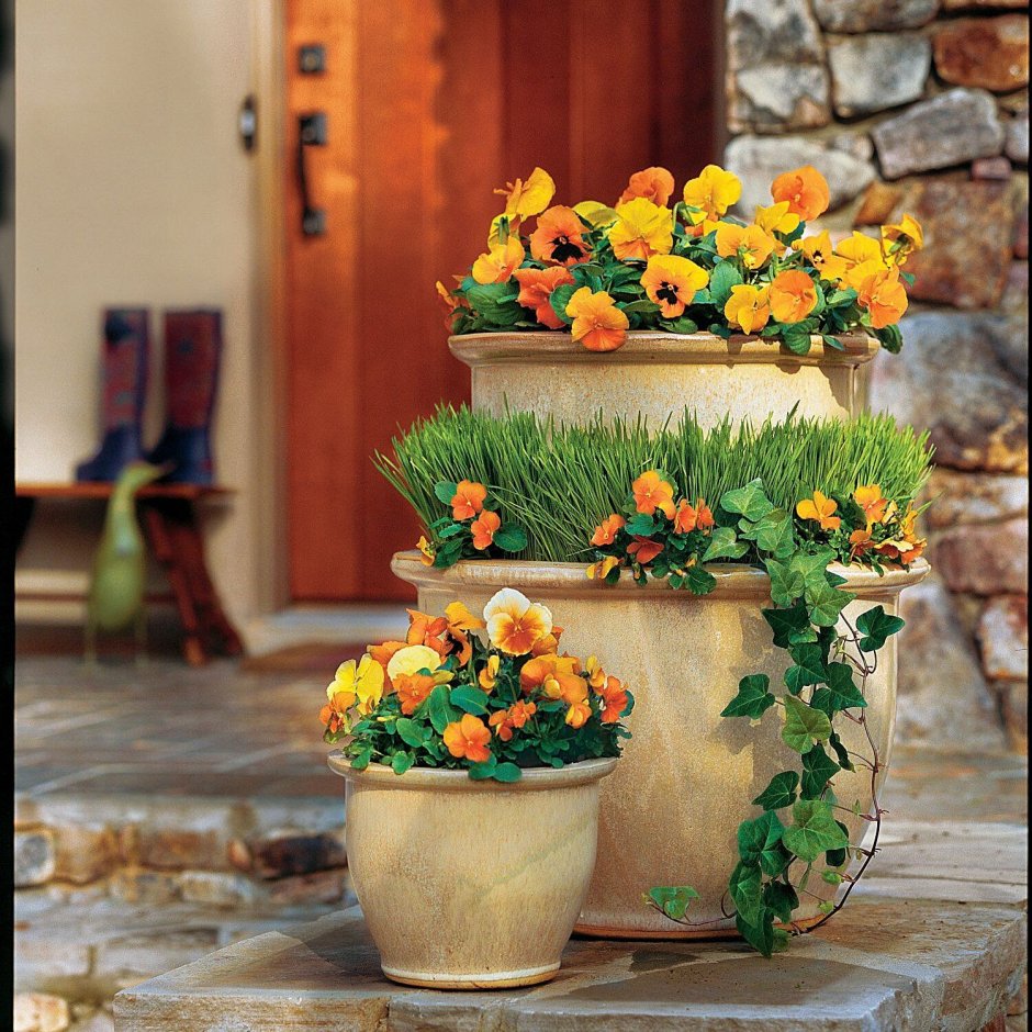 Цветочные композиции на даче