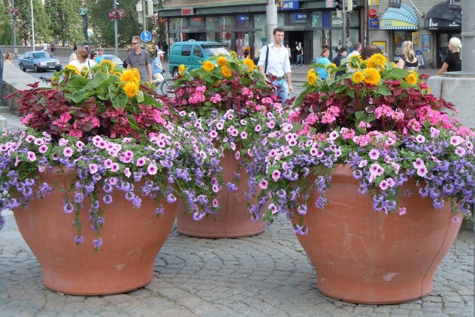 Цветочные вазоны уличные