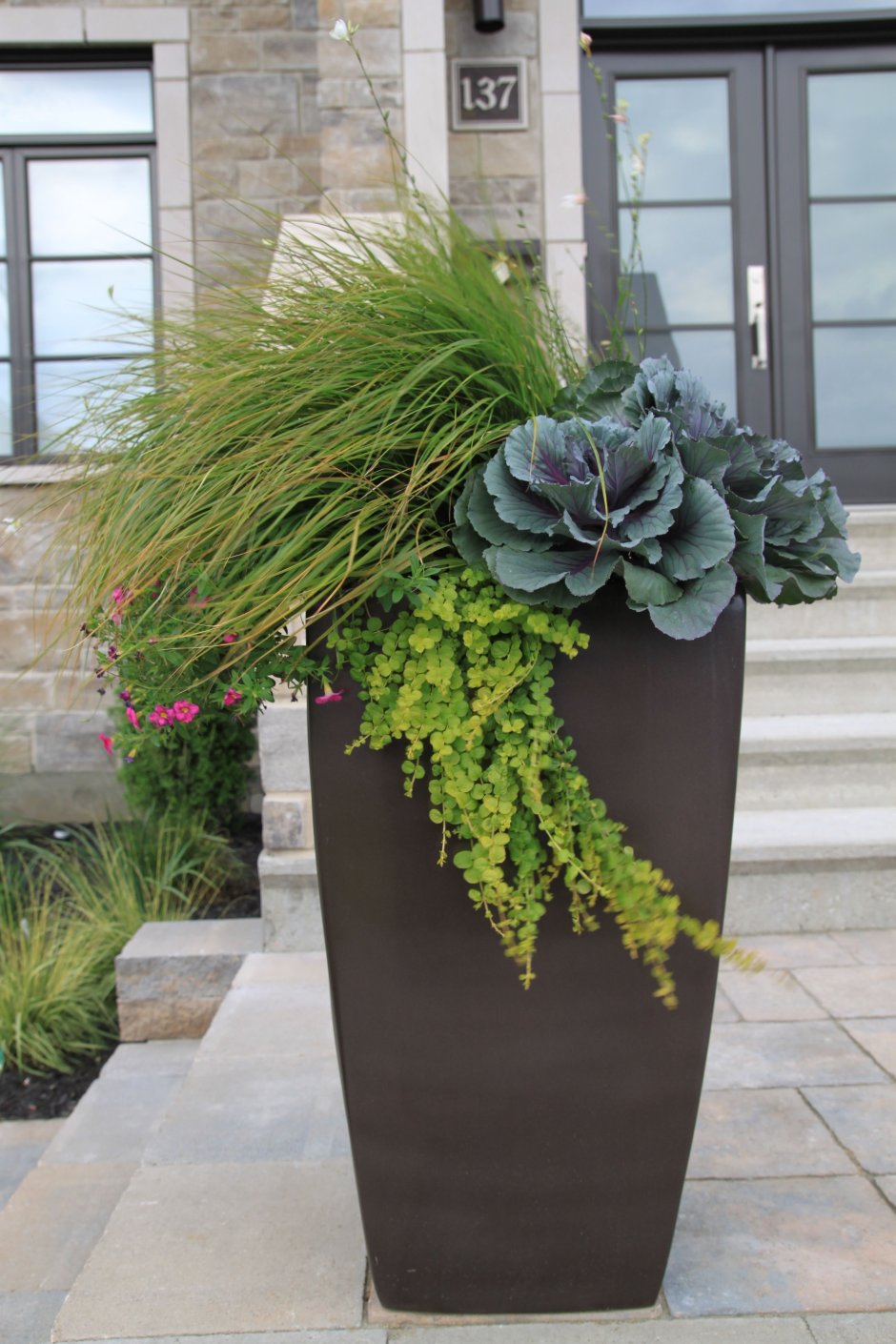 Композиция в кашпо