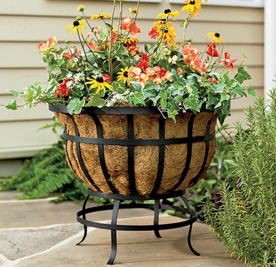 Клумба в горшке