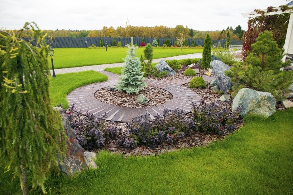 Гортензия,Хоста, туя Даника