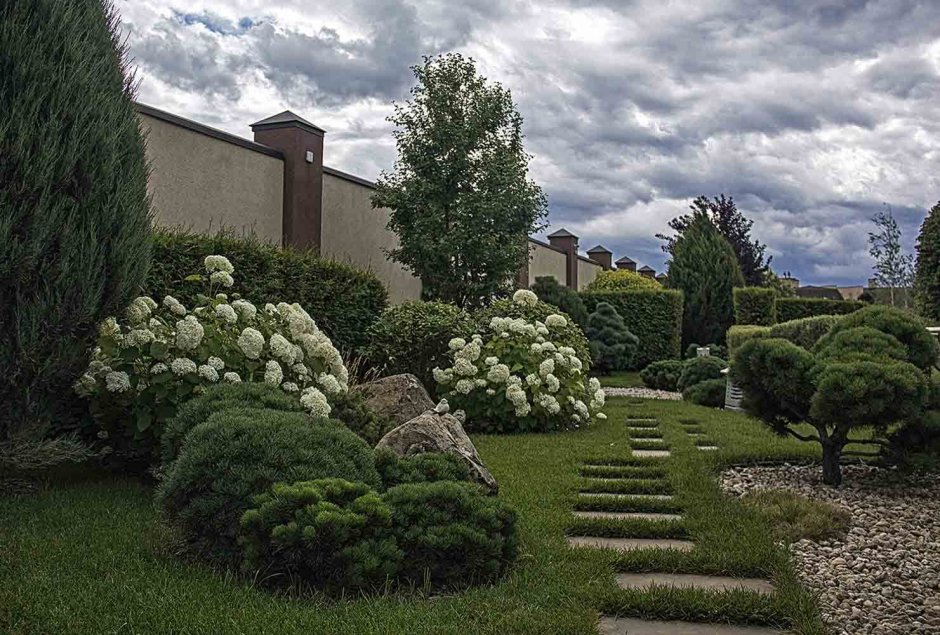 Схема посадки миксбордера с хвойными растениями