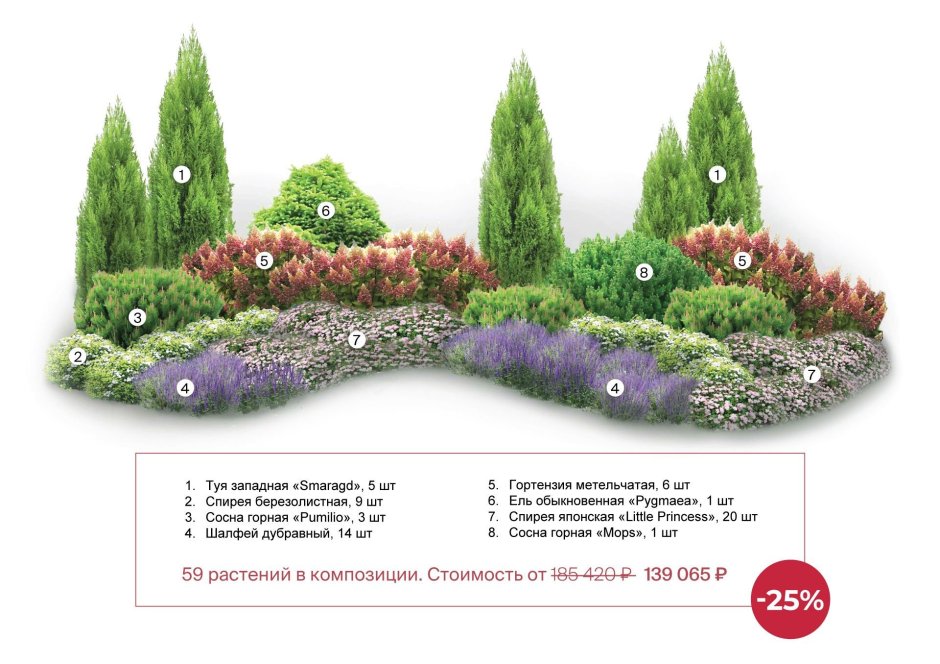 Клумба с хвойными и многолетниками схема