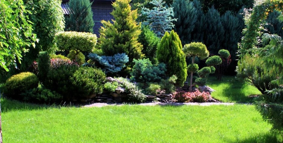 Древесно-кустарниковый миксбордер вдоль забора