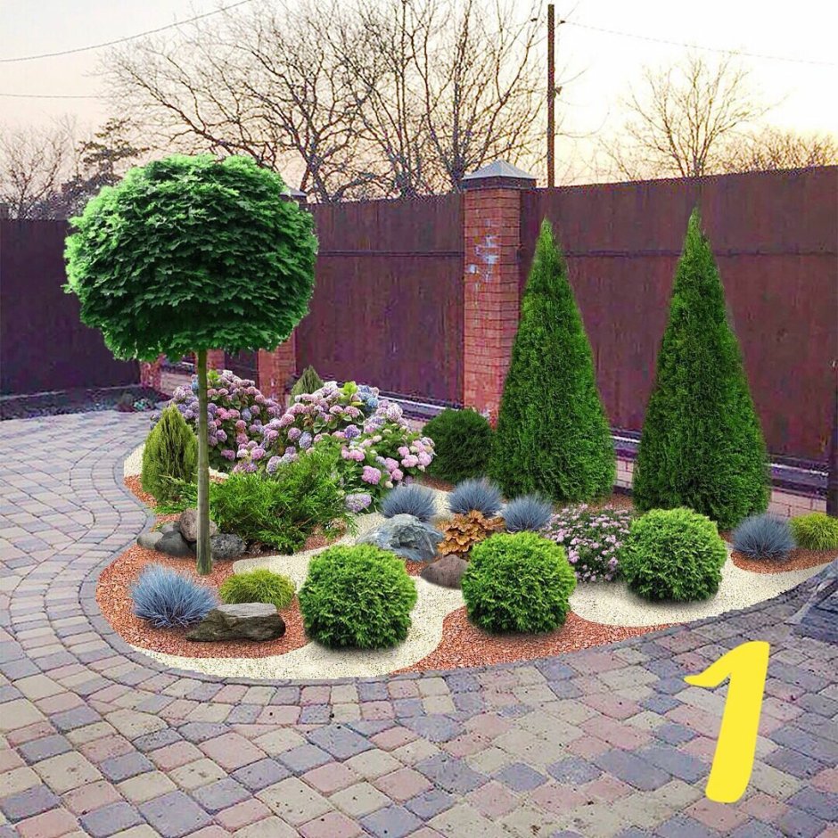 Можжевельник Блю миксбордер