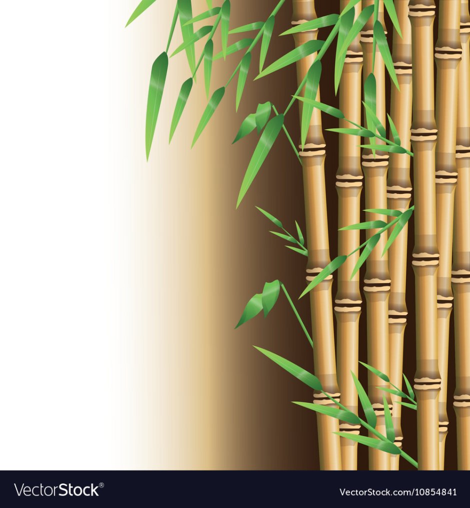 Фоторамка из веток бамбука