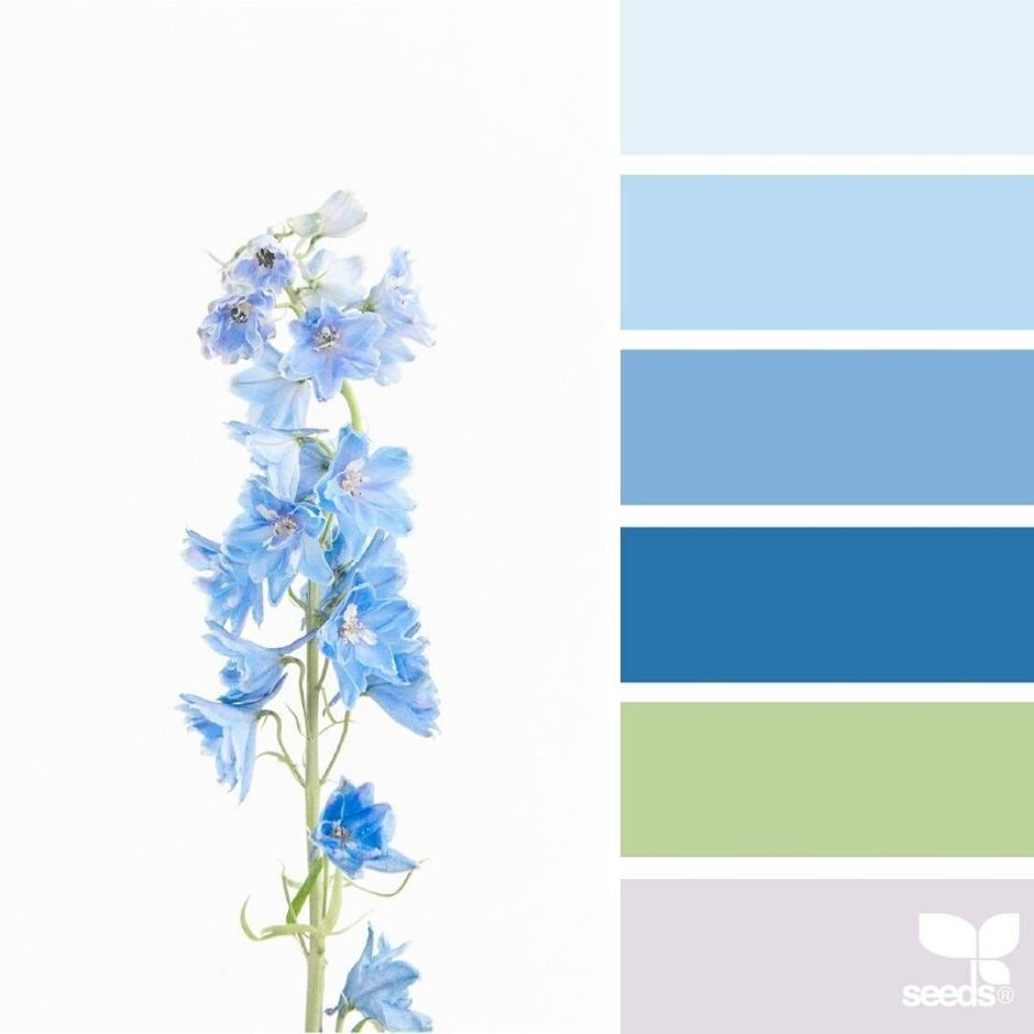 Сочетание с голубым палитра