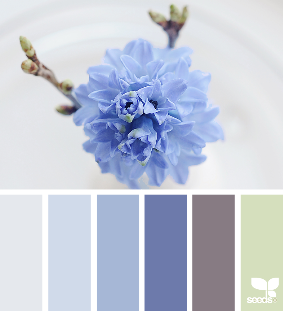 Цветовая палитра голубой