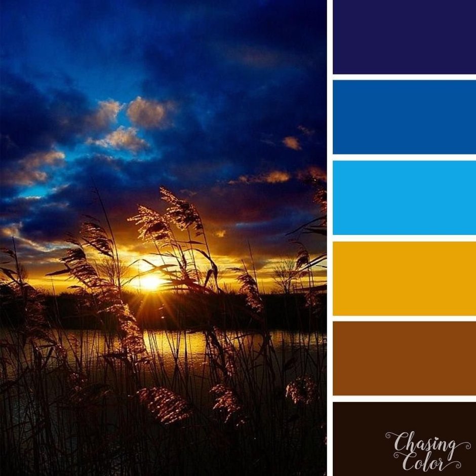 Сочетание цветов коричневый и синий