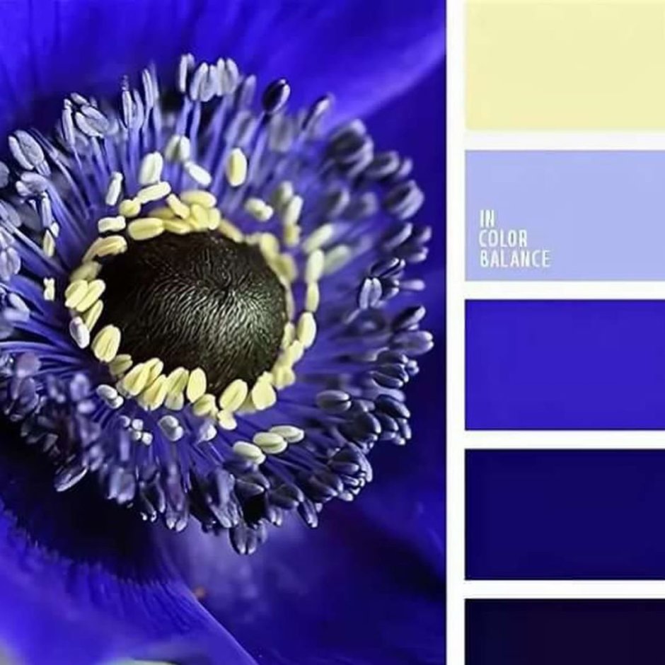 Палитра синих оттенков