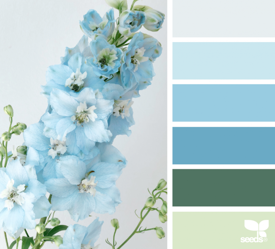 Небесно голубой цвет