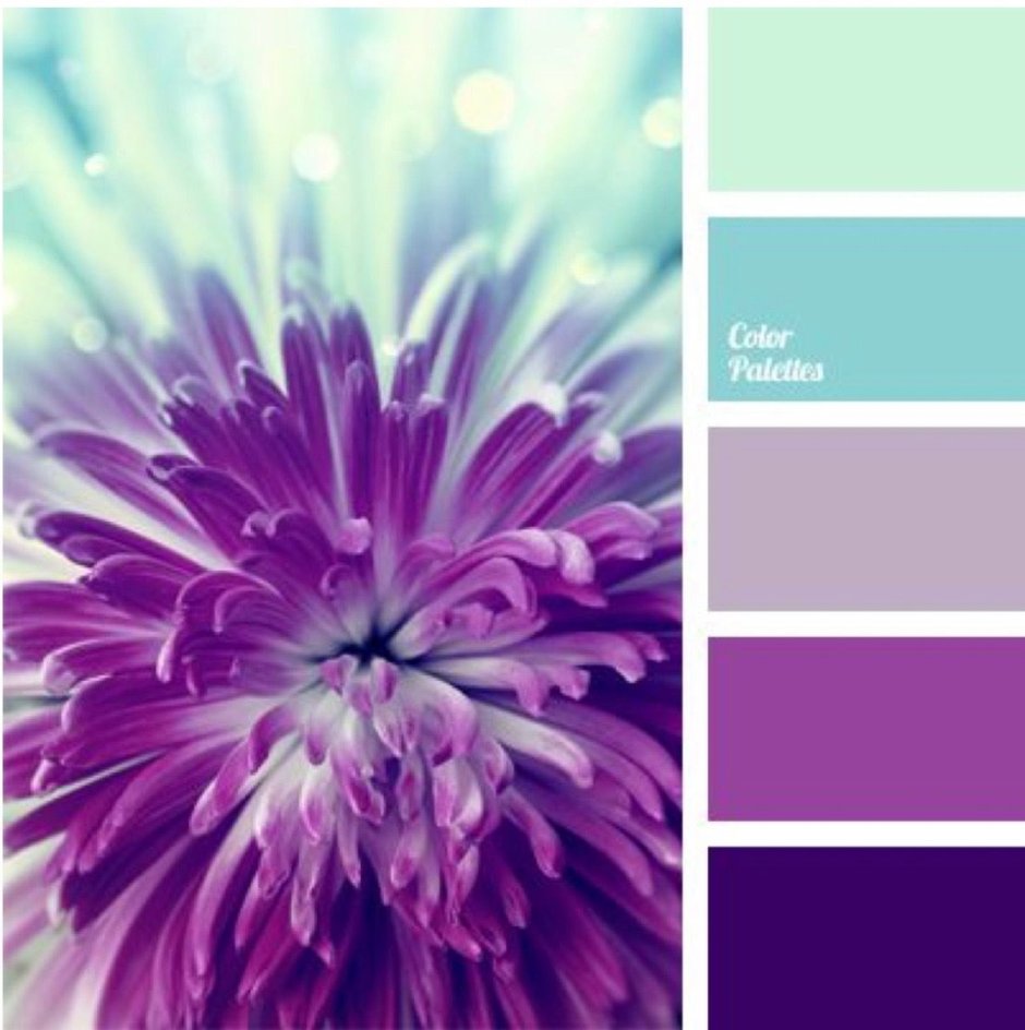 Палитра голубой сиреневый