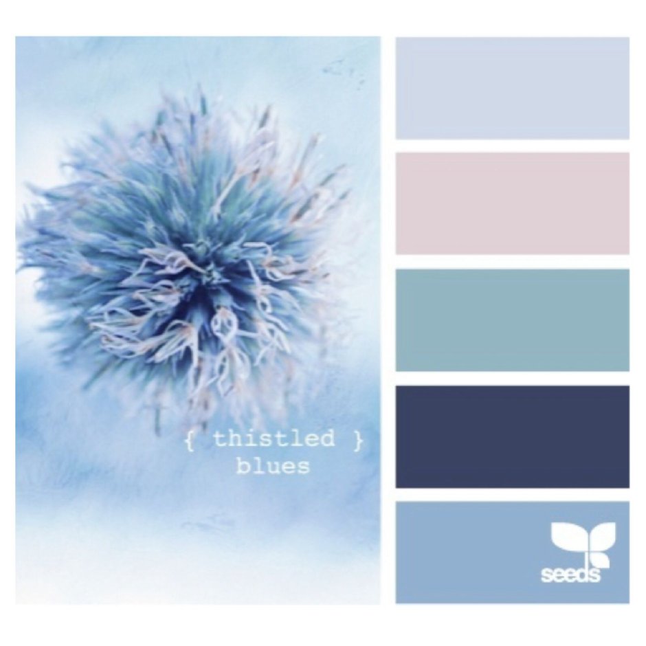 Пыльно синий цвет