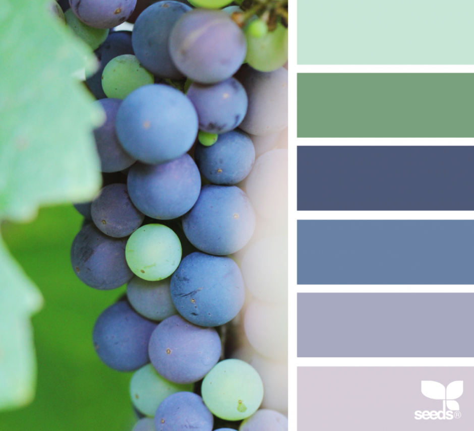 Цветовая палитра сочетание