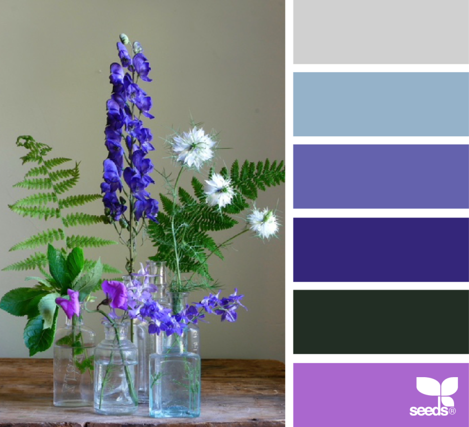 Сочетание цветов васильковый