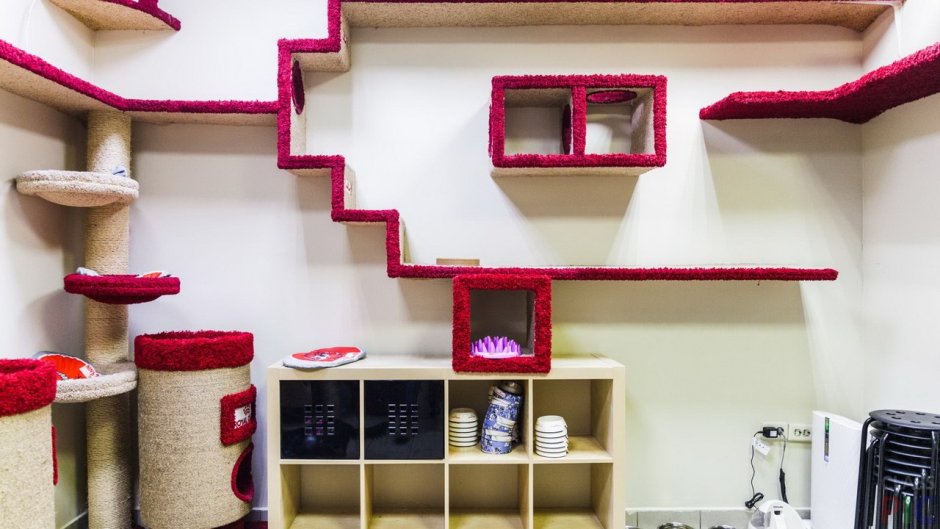 Настенный домик для кошки