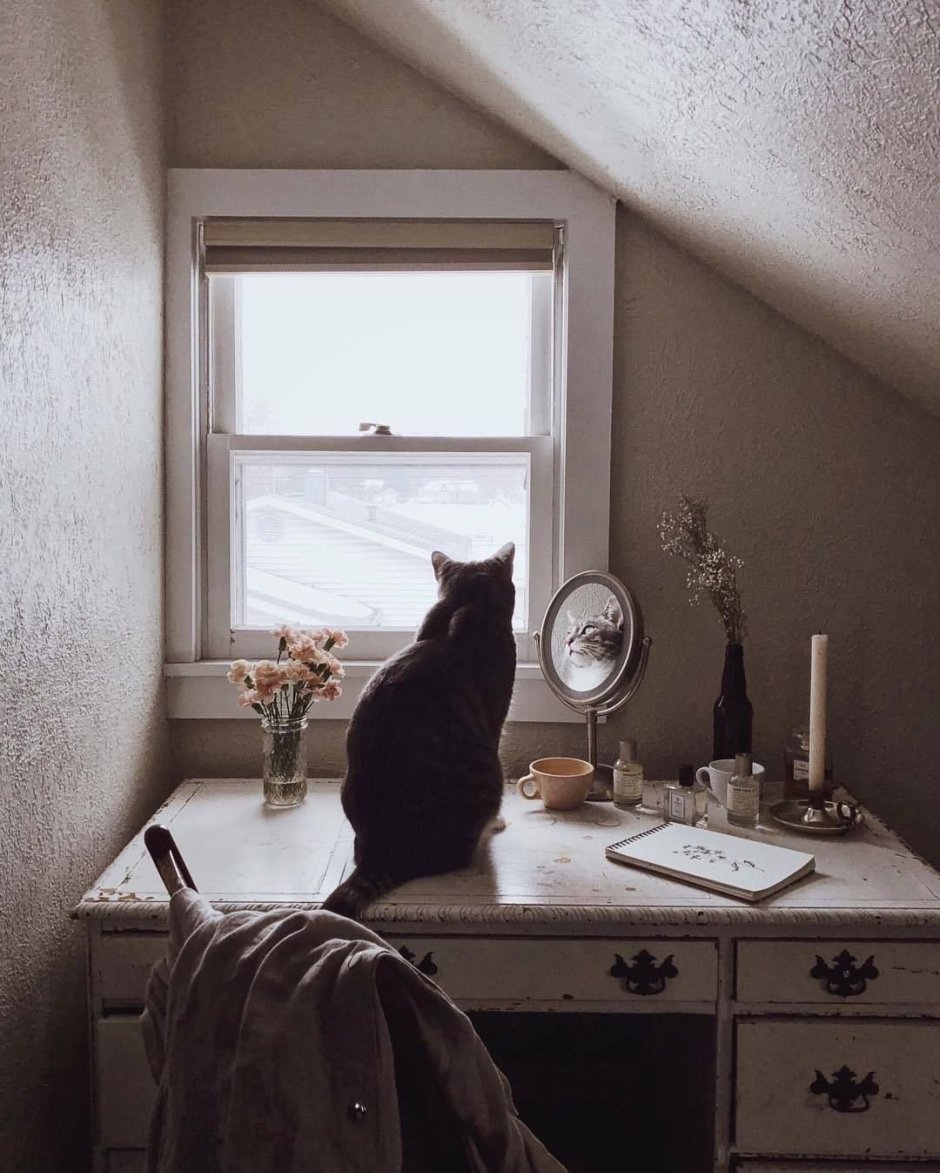 Уютные кошки