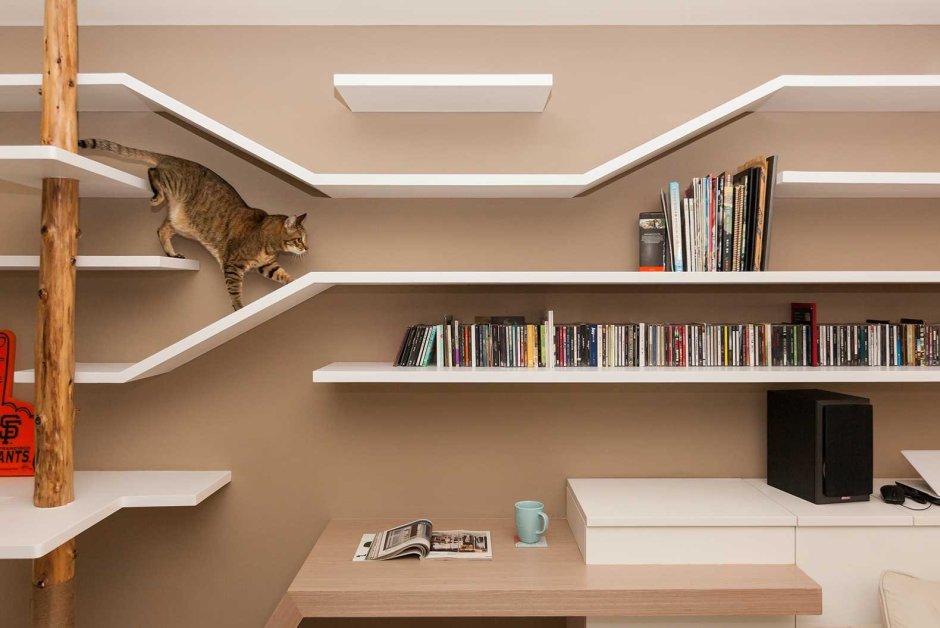 Полки для кошек