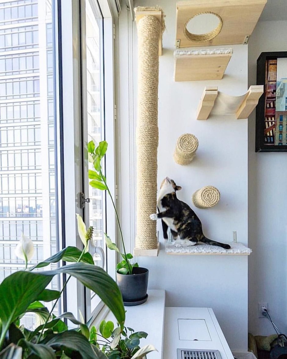 Балкон для кошки