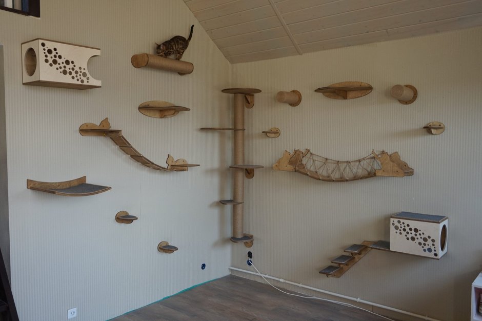 Игровой комплекс для кошек на стену