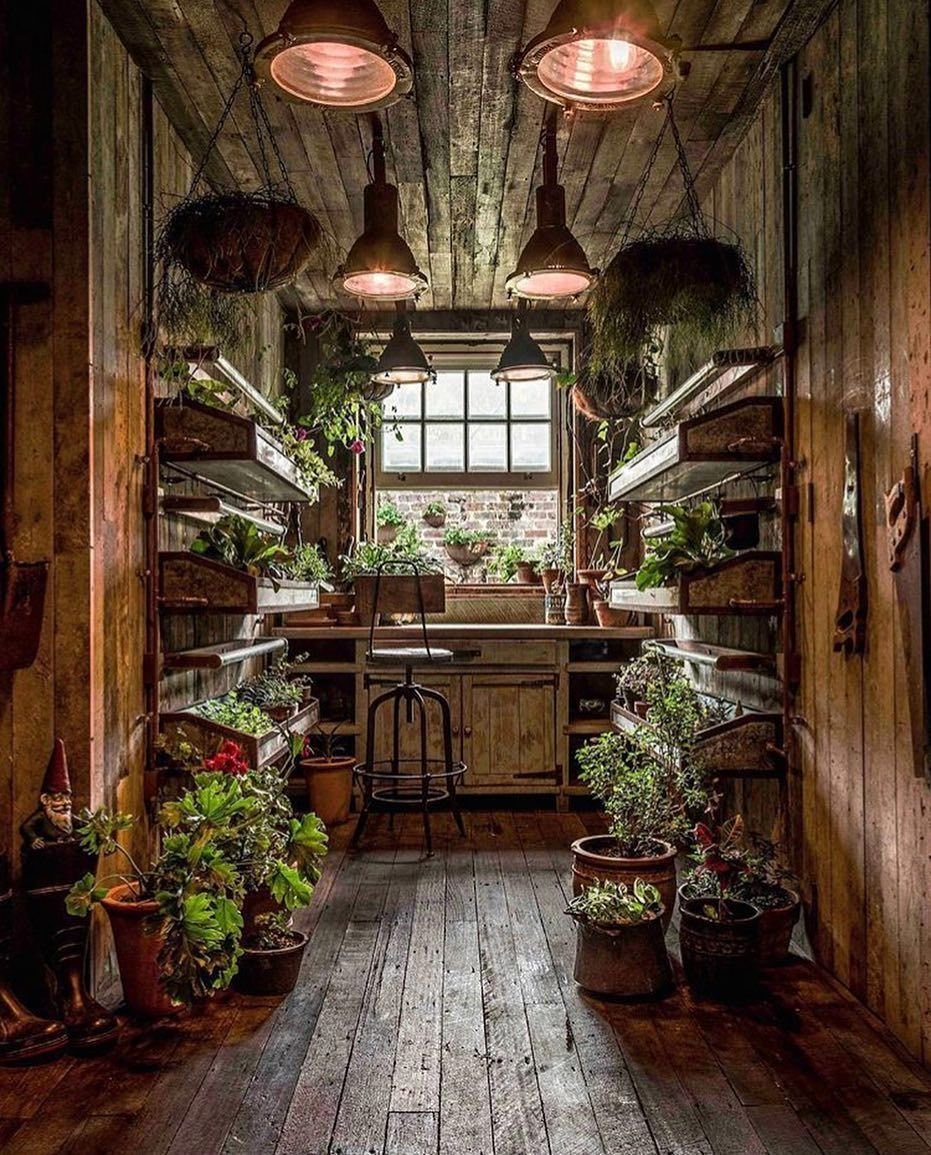 Обитель Лесной ведьмы