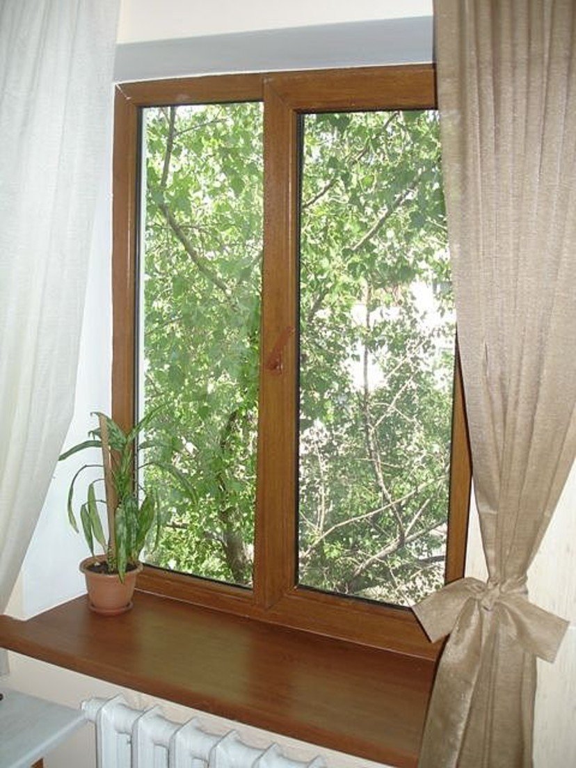 Окно золотой дуб