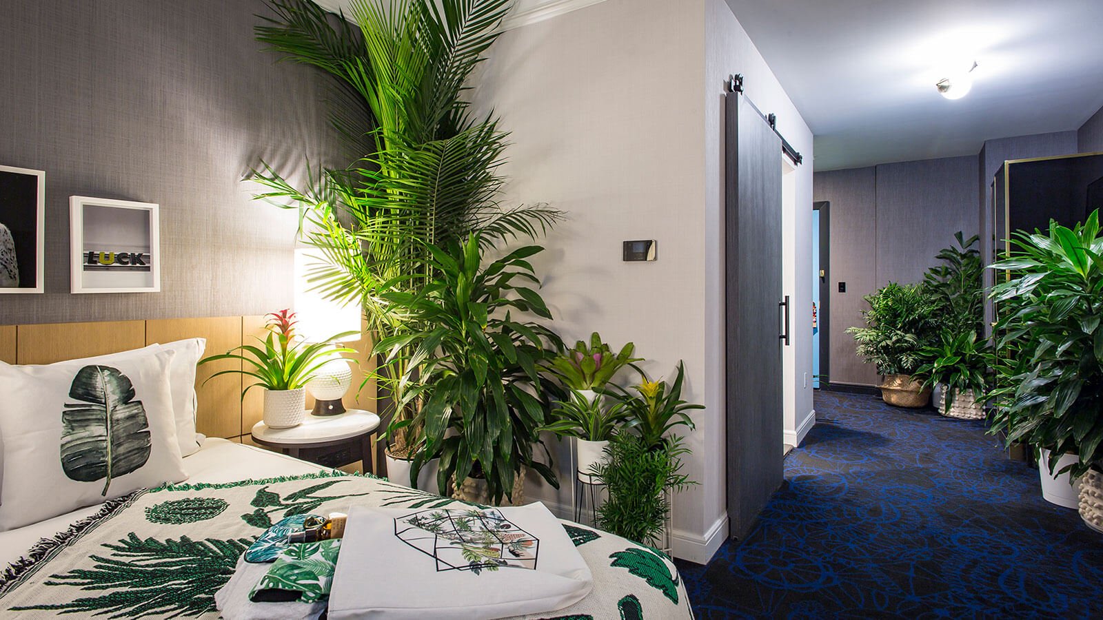 Комната без растений. Комната с растениями. Озеленение гостиной. Озеленение гостиниц. Растения в интерьере.