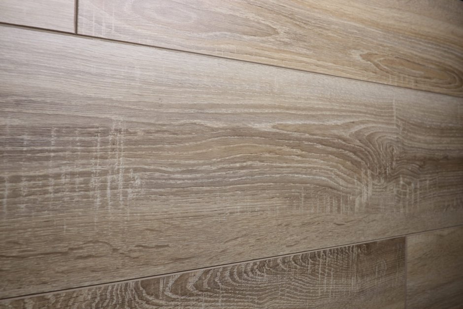 Joss Beaumont дуб Скифский