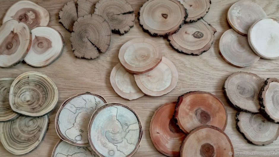 Срез дерева для декора