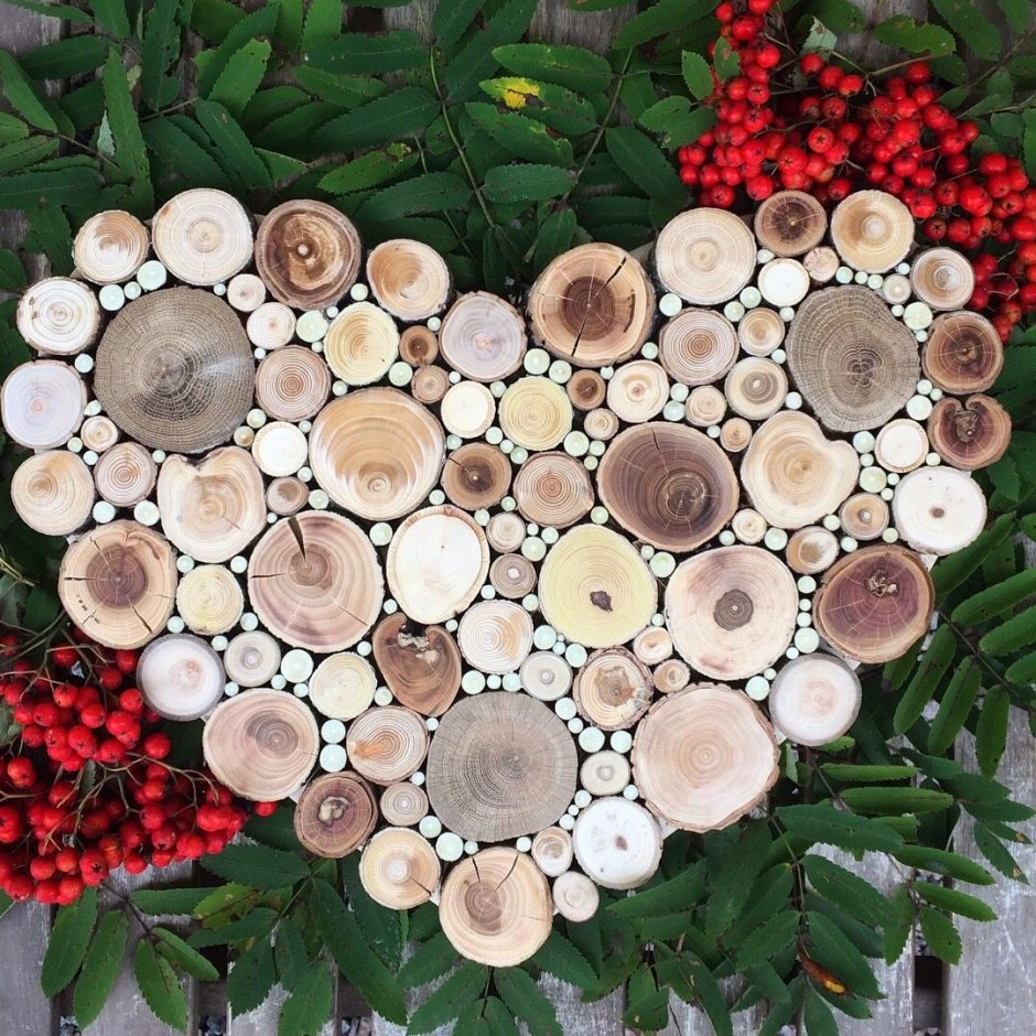 Спилы дерева для декора