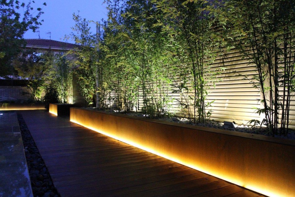 Бассейн studia 54