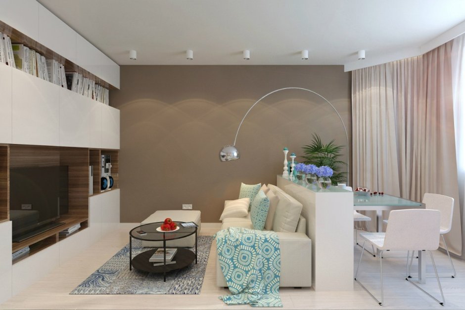 Гостиная с кухней нишей