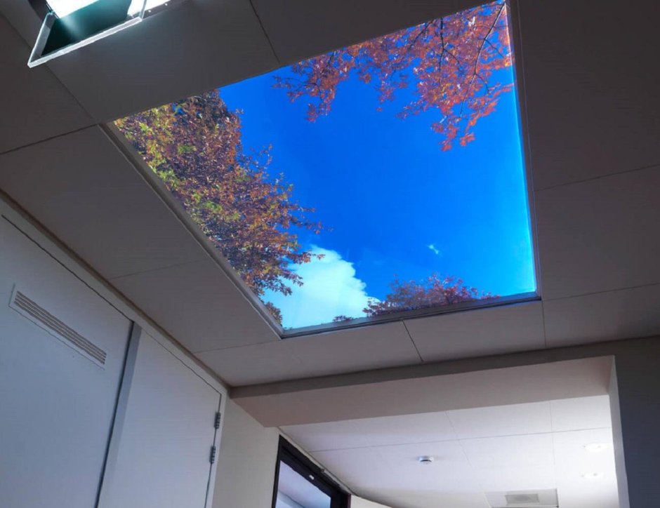 Парящий потолок с фотопечатью