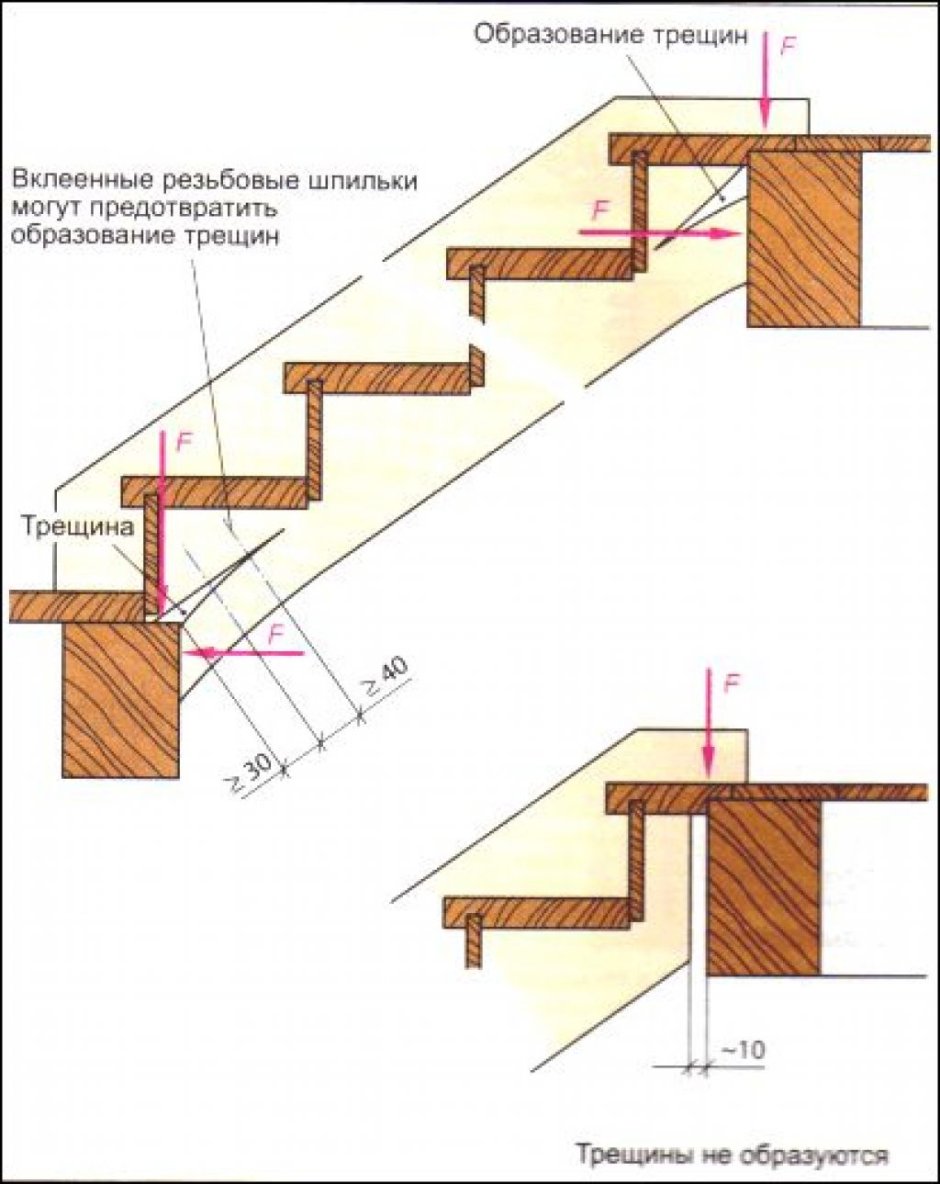 Кошка поднимается или спускается