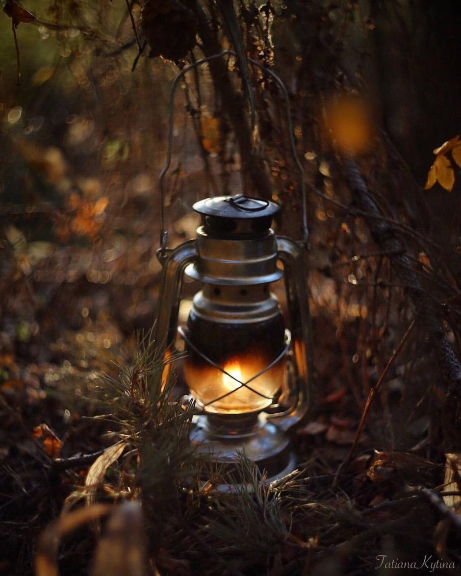 Фонарик для леса